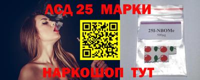 гашик Будённовск