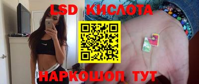 гашик Будённовск