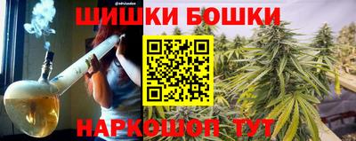 гашик Будённовск