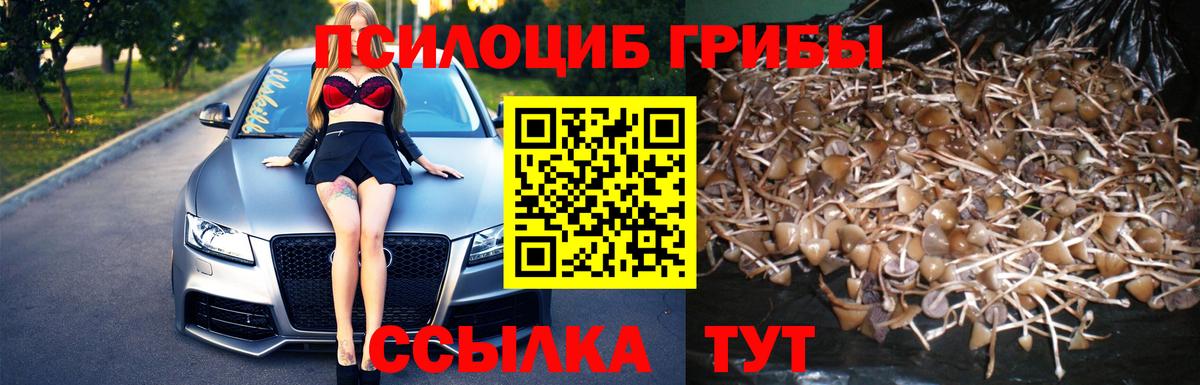 Галлюциногенные грибы Cubensis Череповец