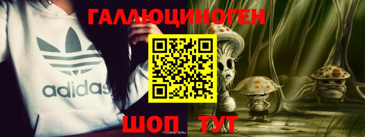 Череповец  Галлюциногенные грибы Psilocybine cubensis  Псилоцибиновые грибы Psilocybe  Вход с VPN 